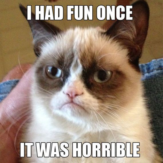 Grumpy Cat Memes Funny